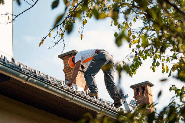 Best Roof Maintenance Services  in Old Stine, CA