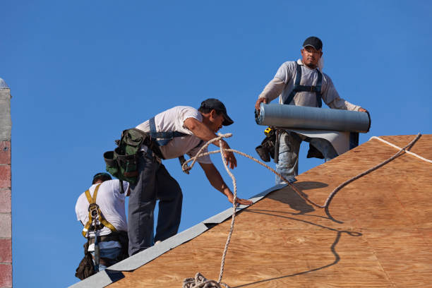 Best Metal Roofing Contractor  in Old Stine, CA