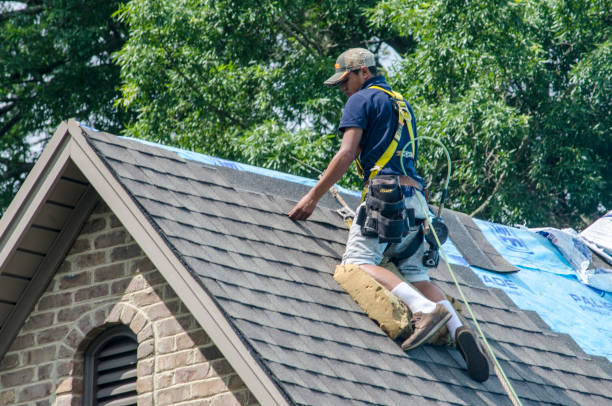 Roof Gutter Cleaning in Old Stine, CA